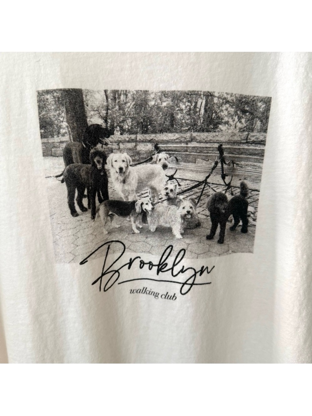 Old Navy Brooklyn Dog Walking Tee Size XXL